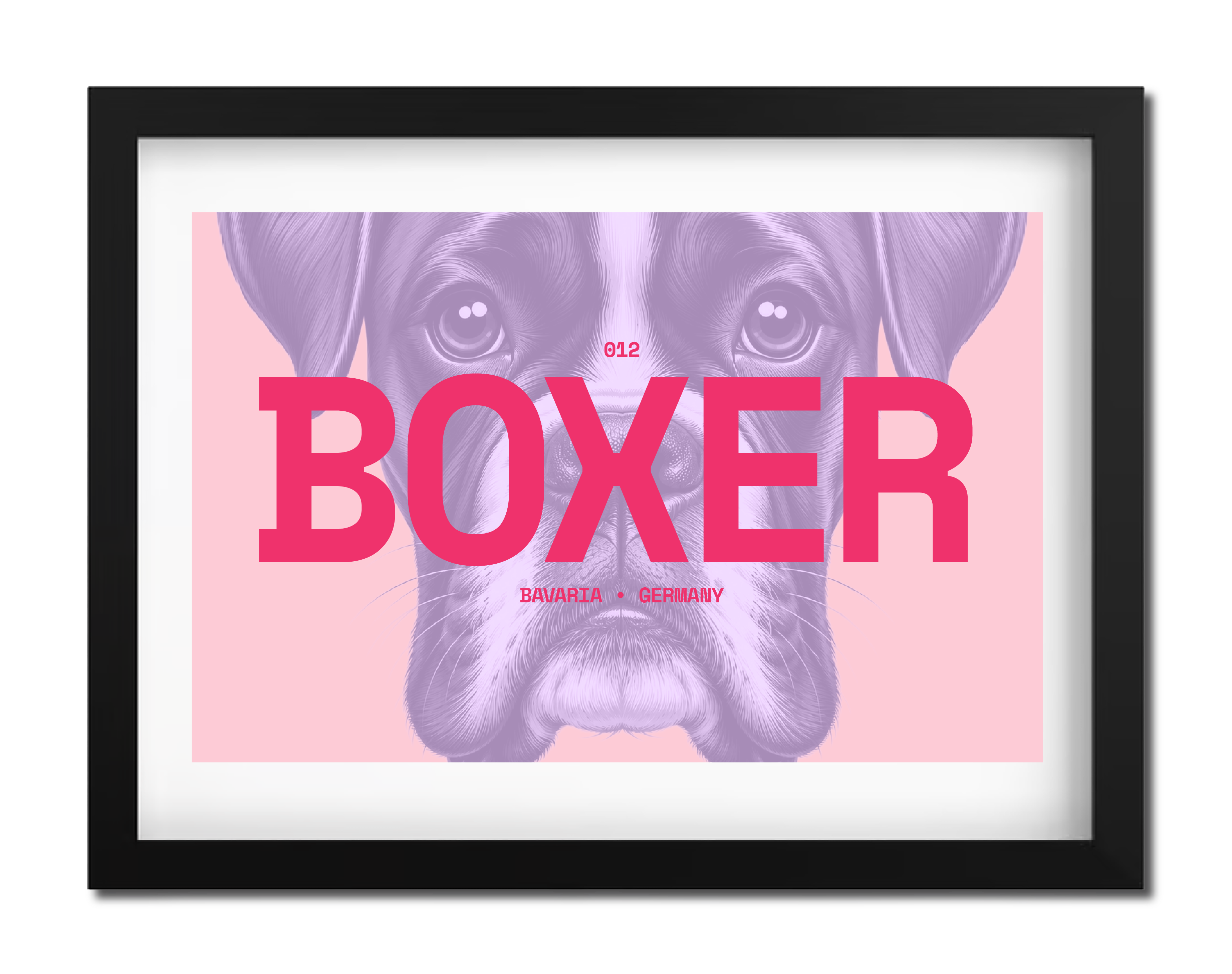 Boxer Dog Poster