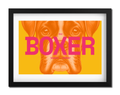 Boxer Dog Poster