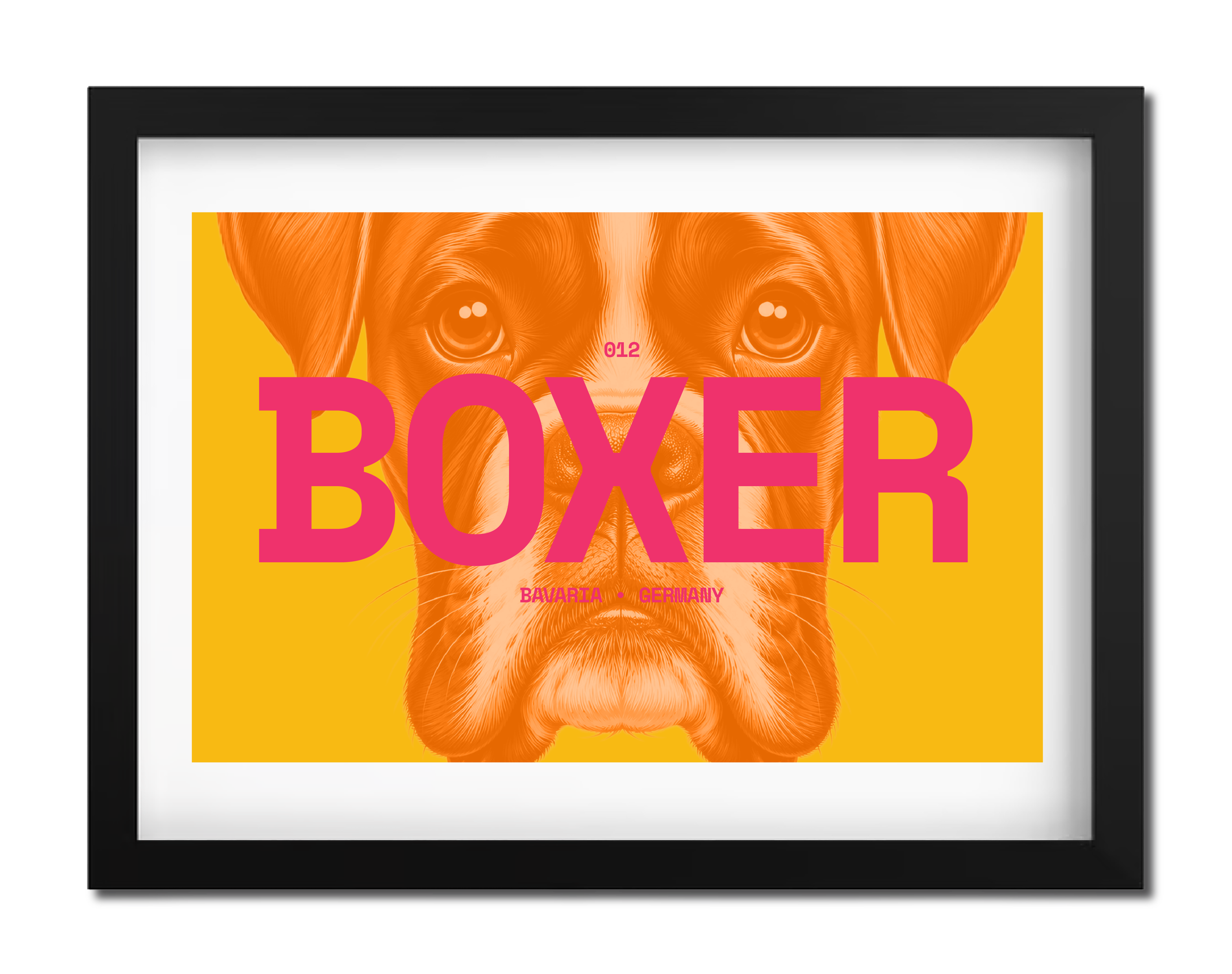 Boxer Dog Poster