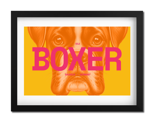Boxer Dog Poster