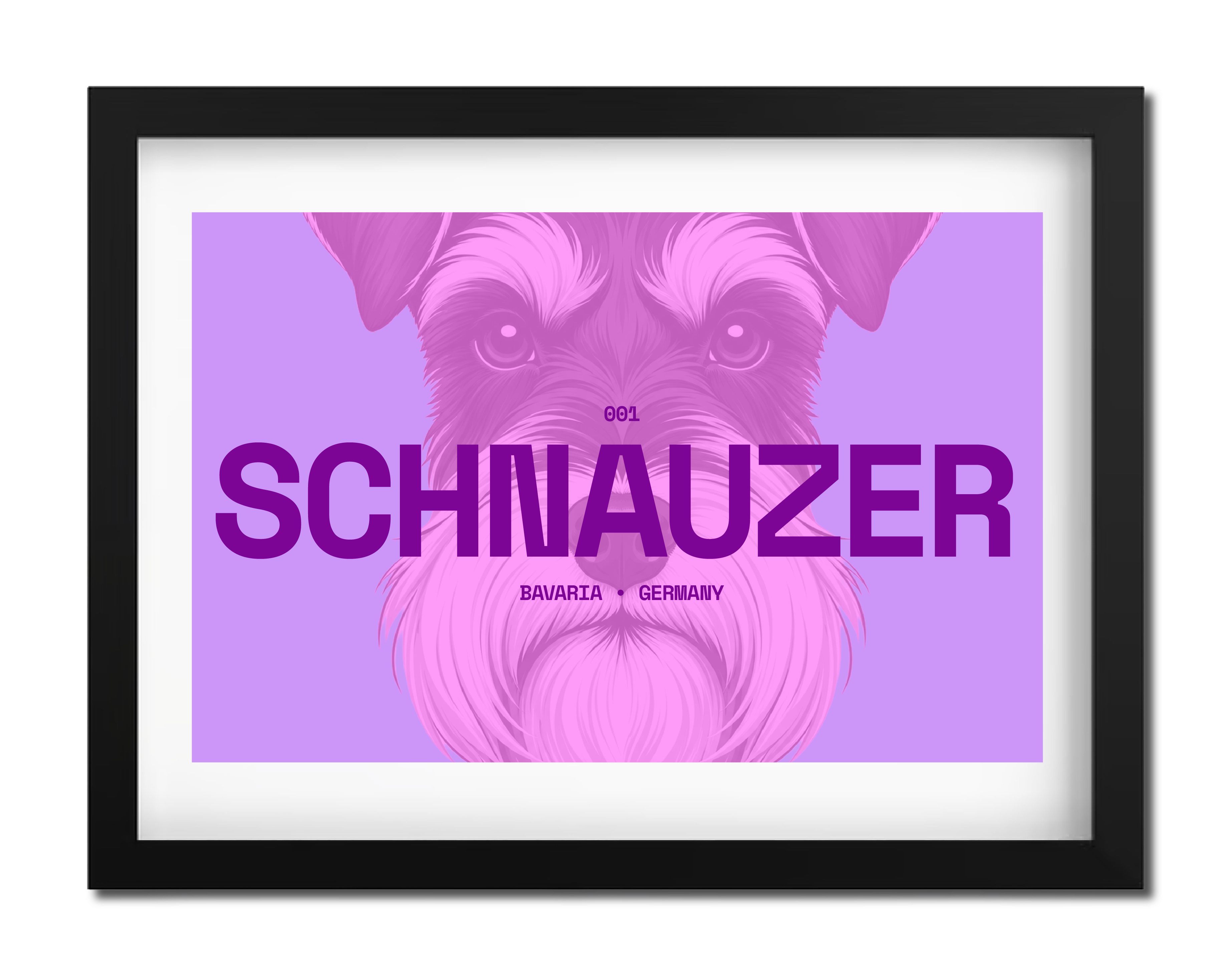 Schnauzer Dog Poster