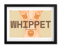 Whippet Dog Poster
