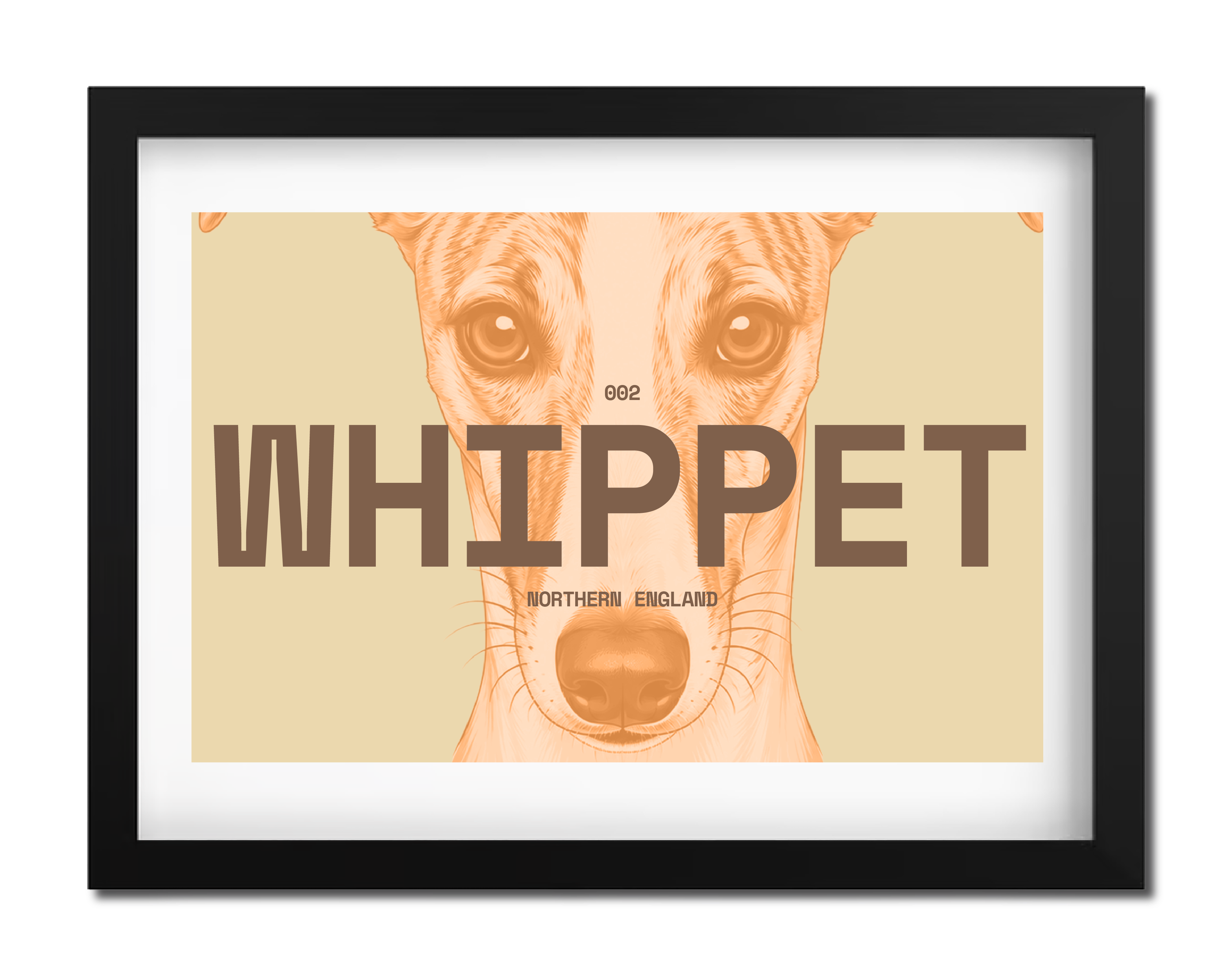 Whippet Dog Poster