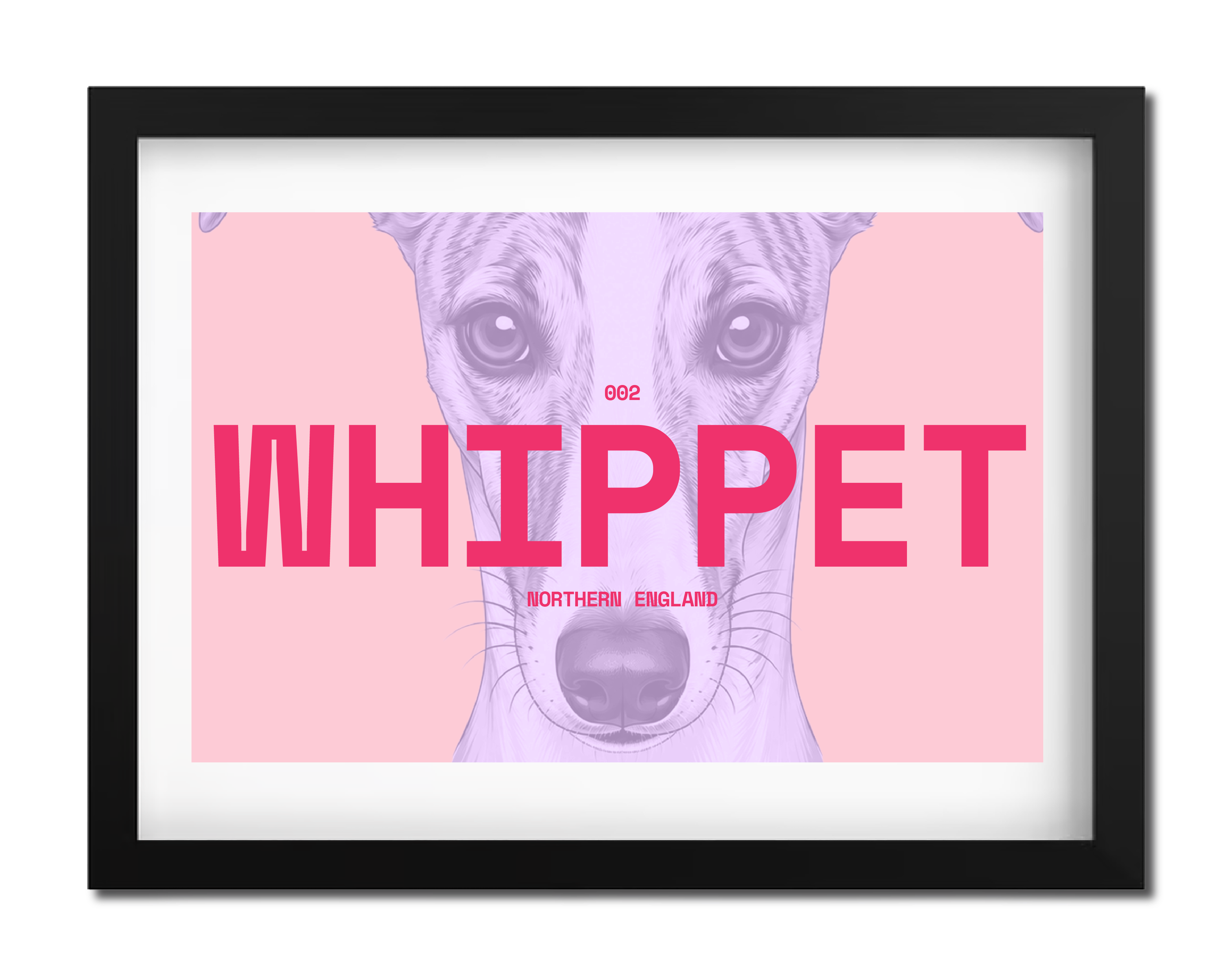 Whippet Dog Poster