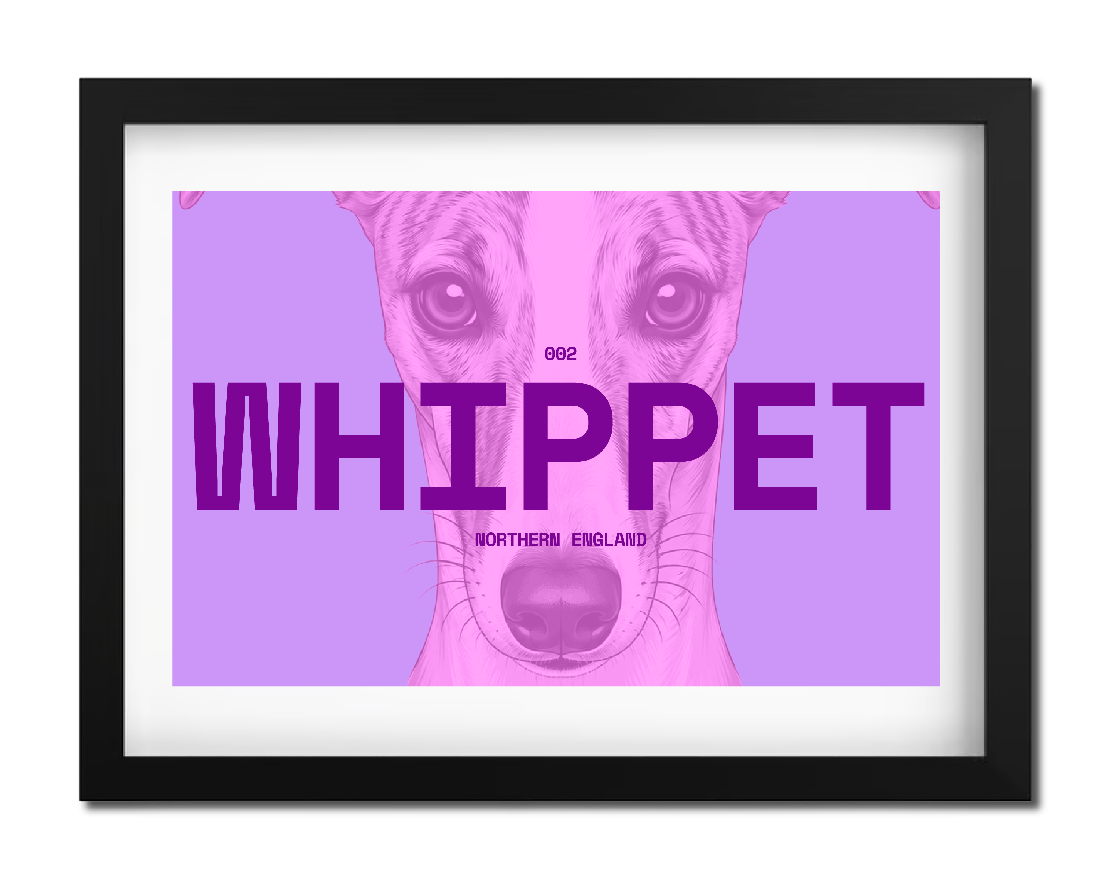 Whippet Dog Poster