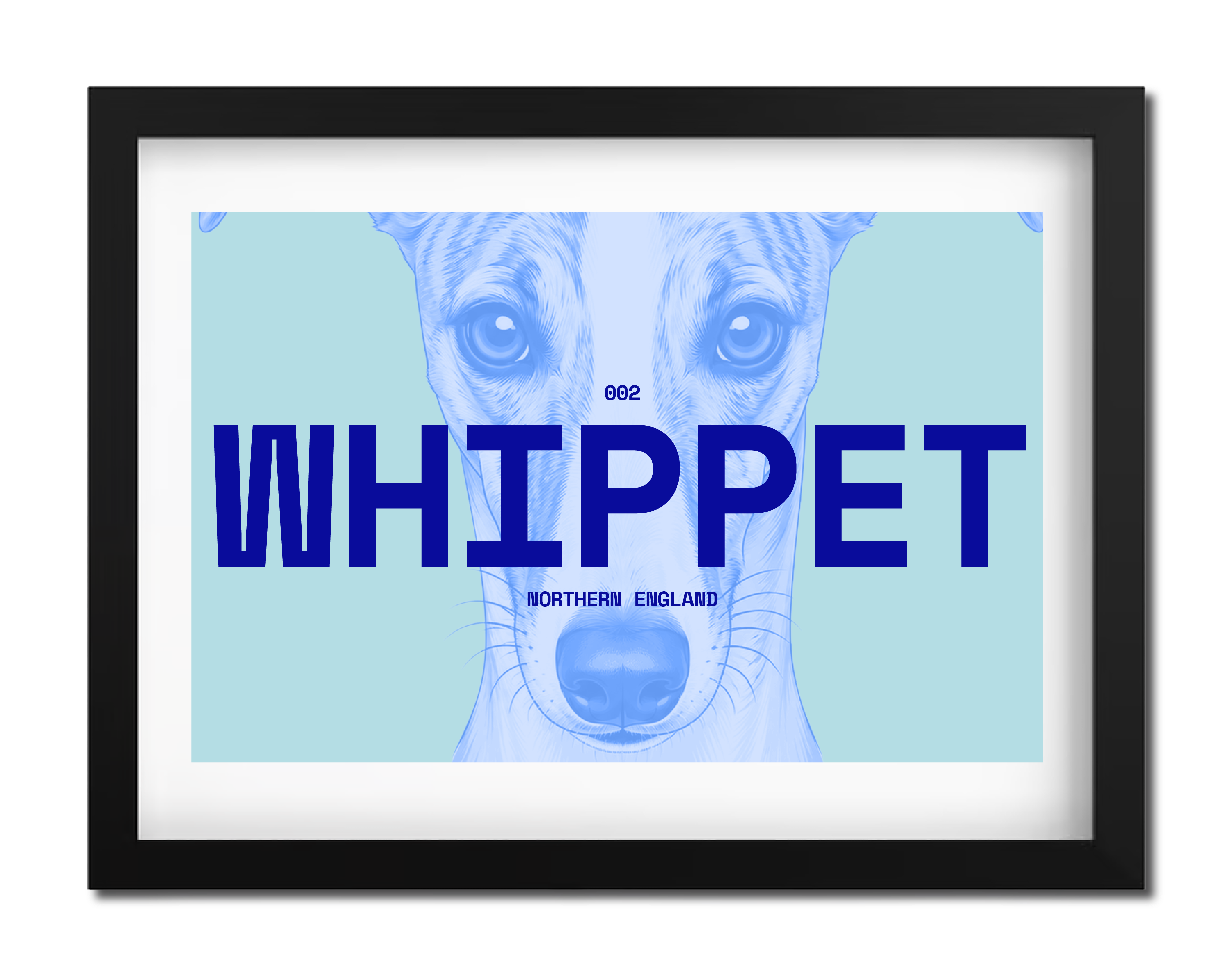 Whippet Dog Poster