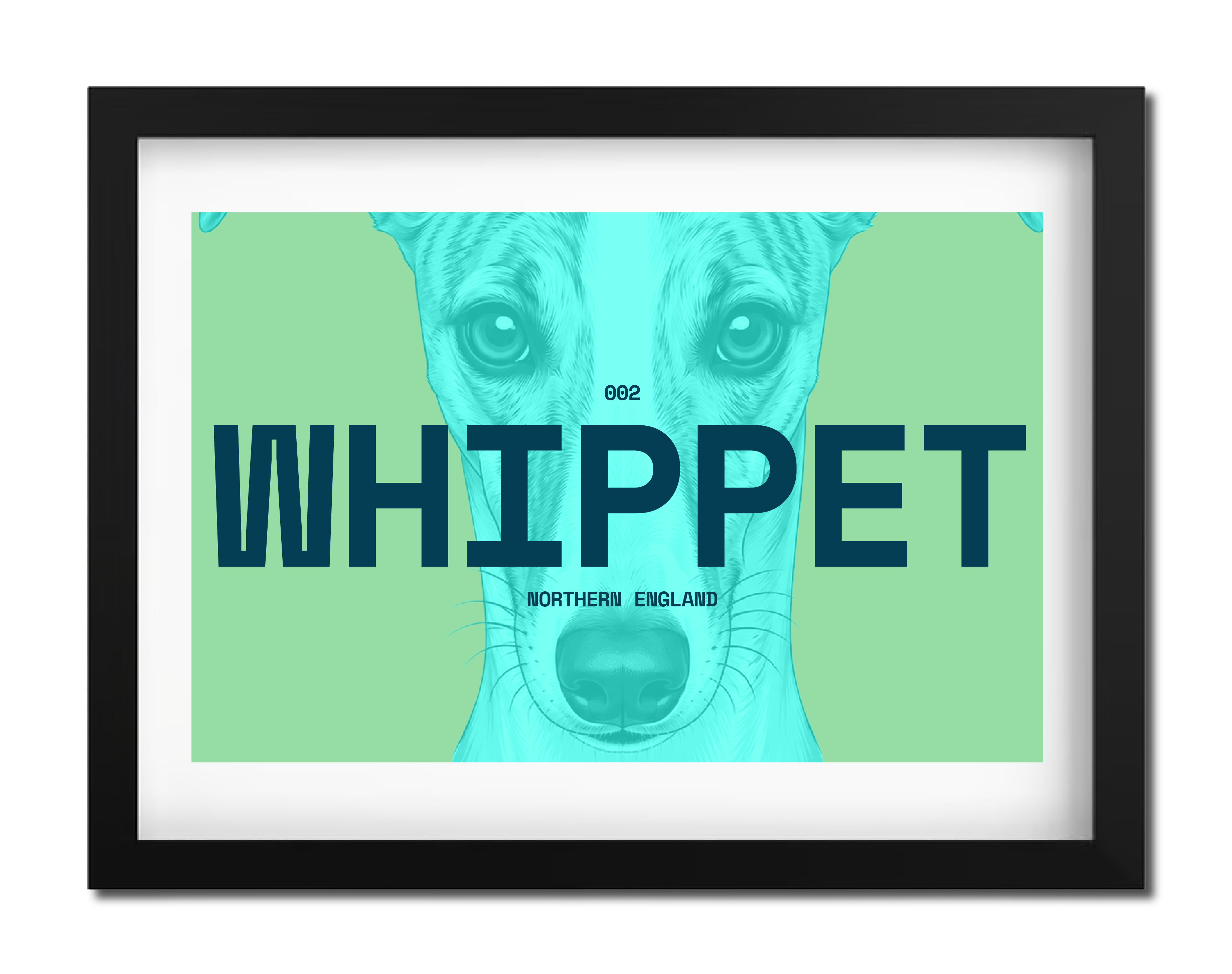 Whippet Dog Poster