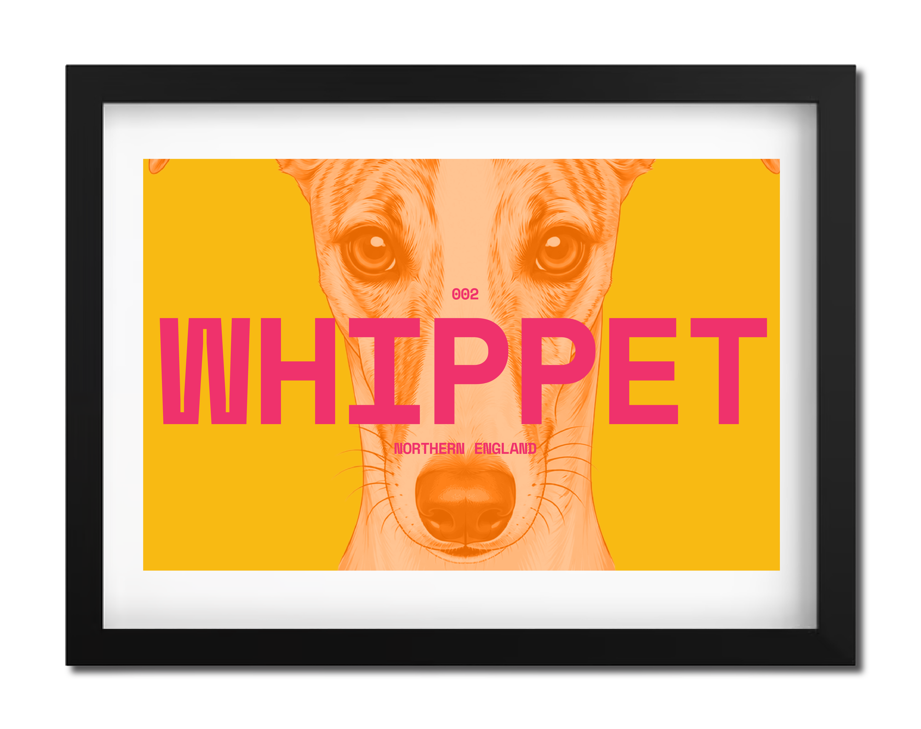 Whippet Dog Poster