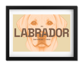 Labrador Dog Poster
