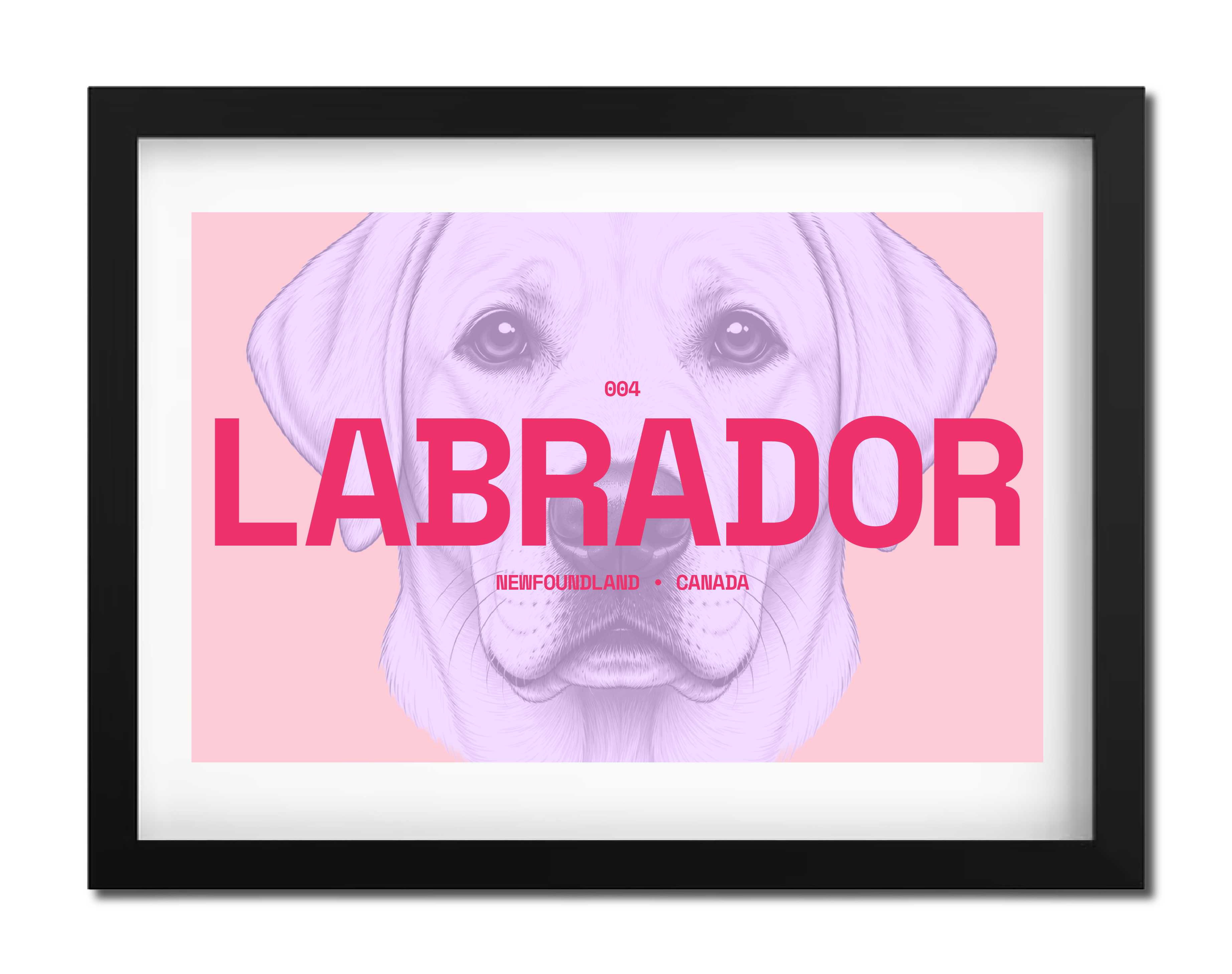 Labrador Dog Poster