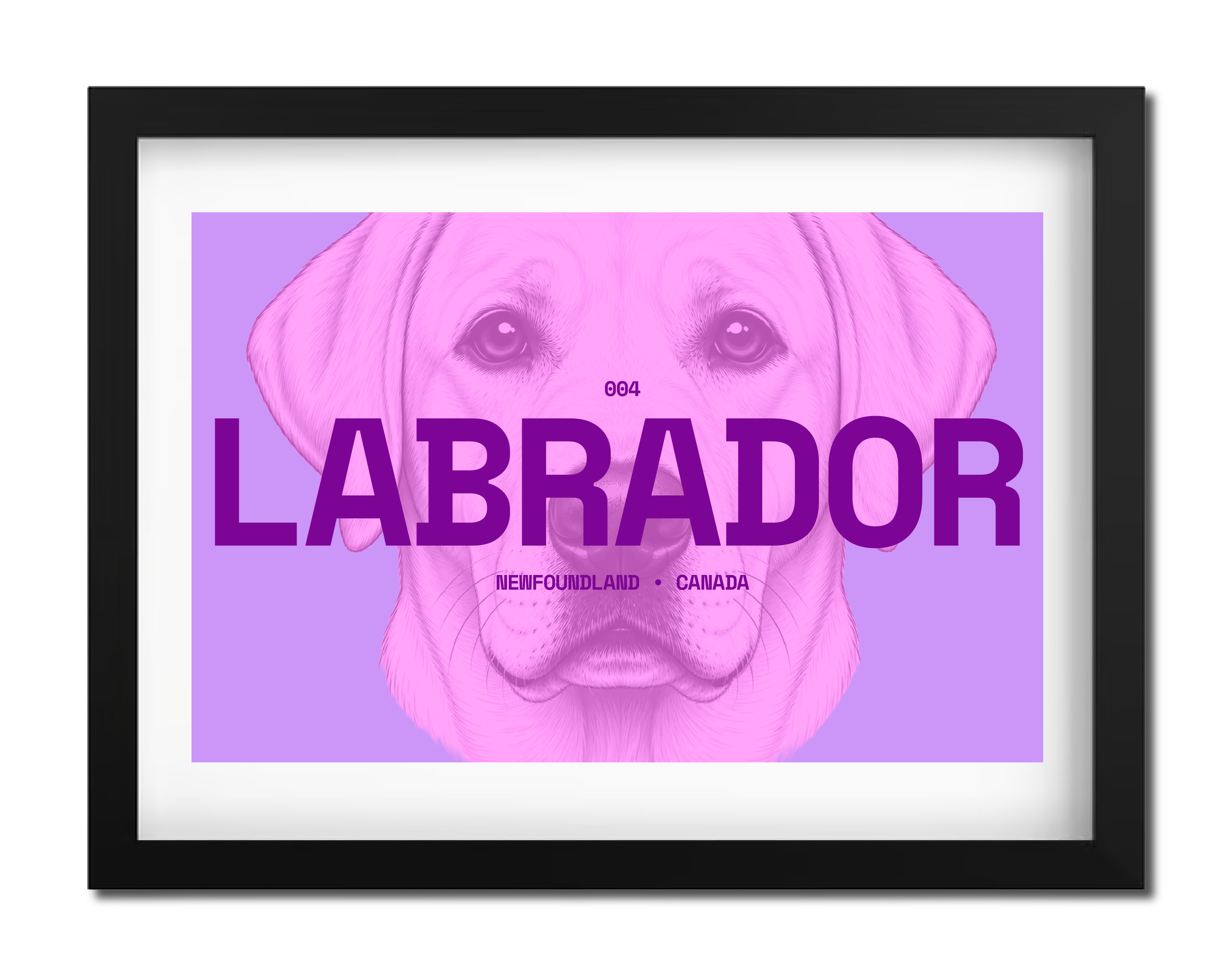 Labrador Dog Poster