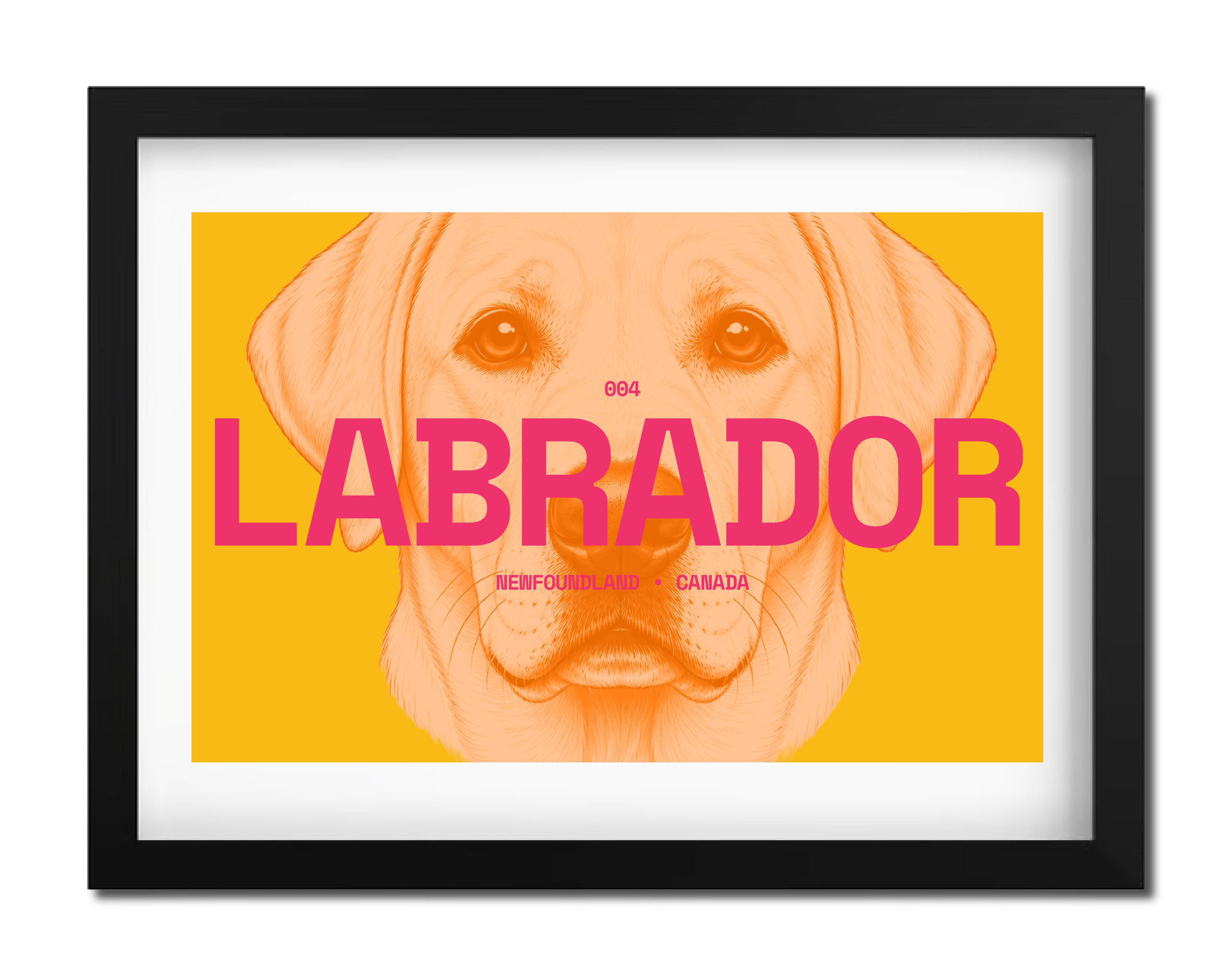 Labrador Dog Poster