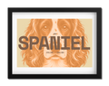 Spaniel Dog Poster