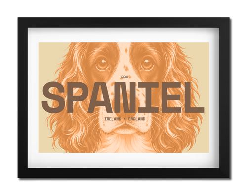 Spaniel Dog Poster