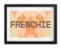 Frenchie Dog Poster