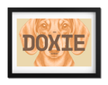 Doxie Dog Poster