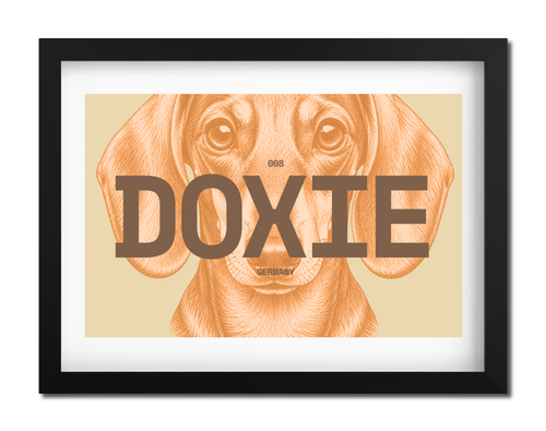 Doxie Dog Poster