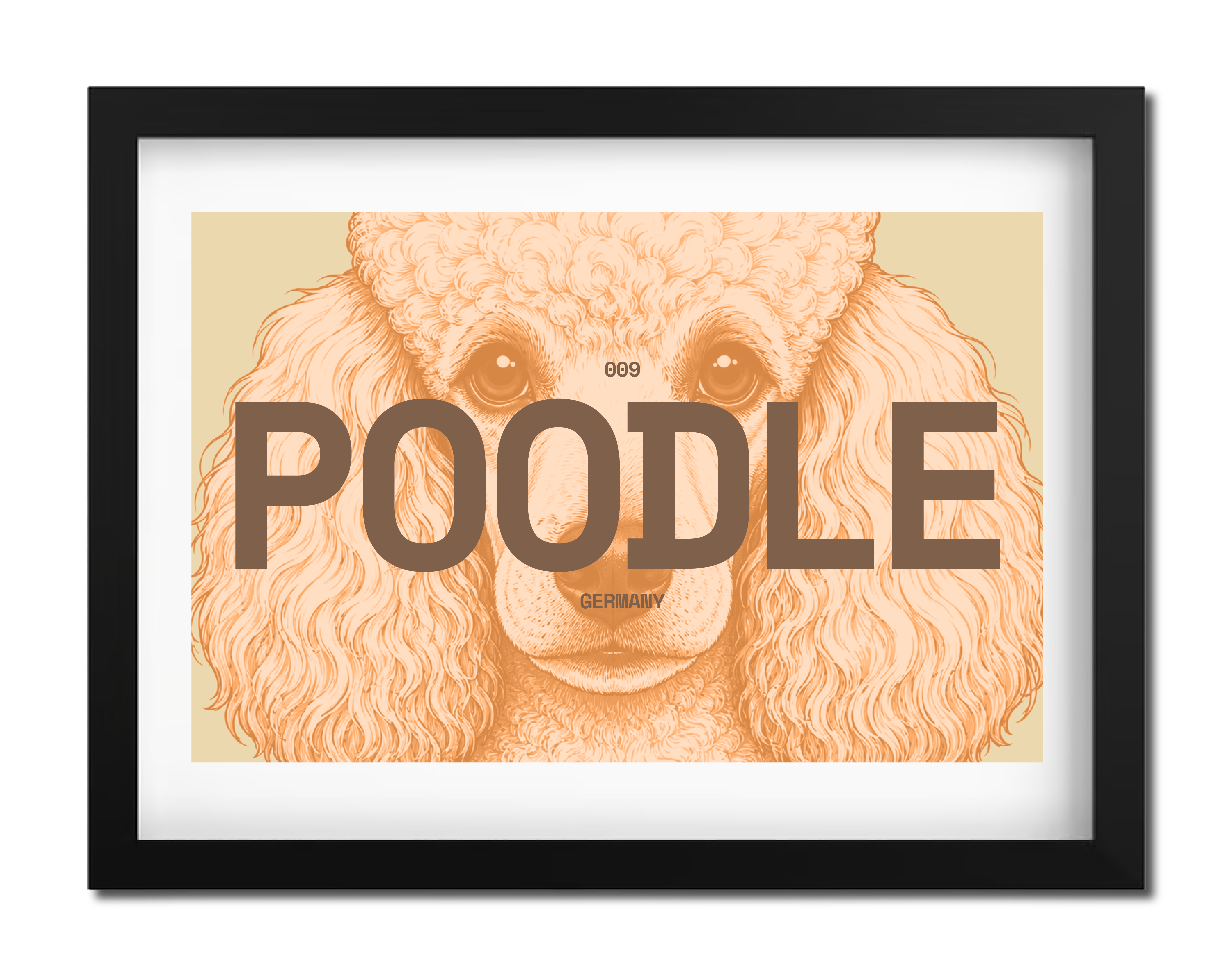 Poodle Dog poster