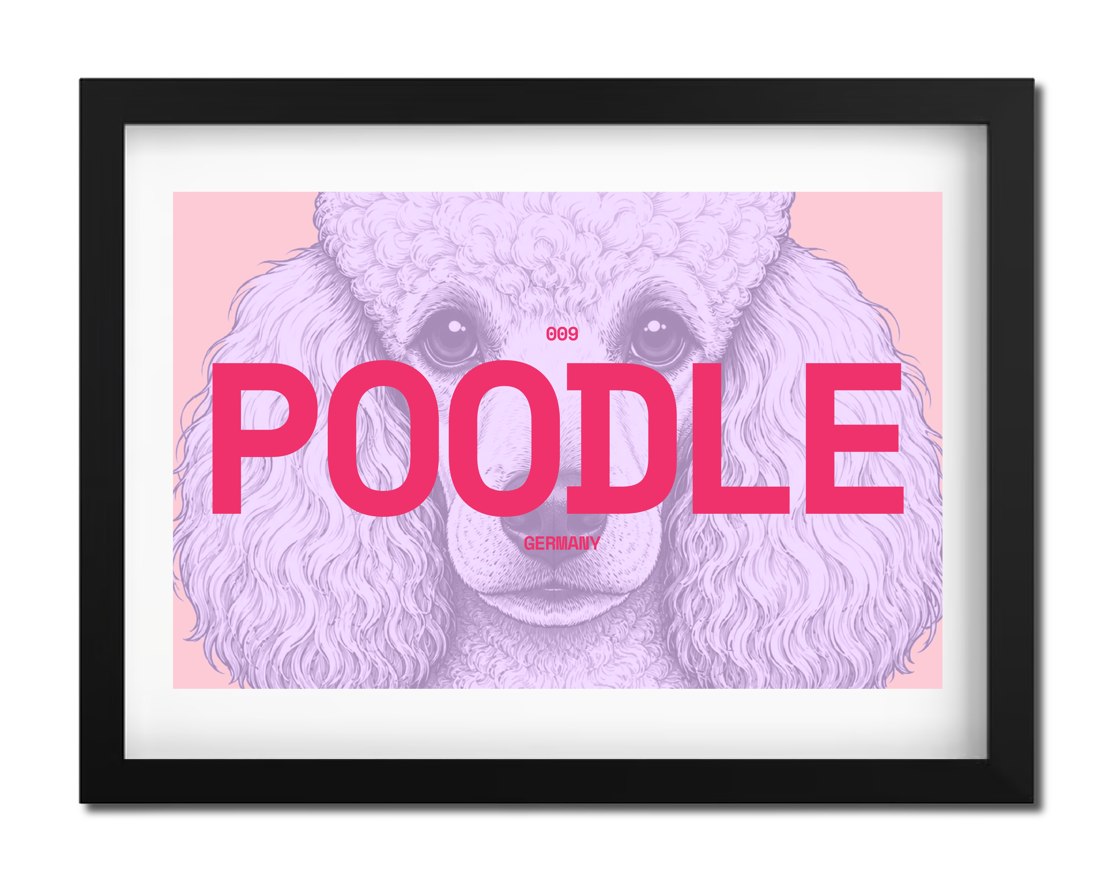 Poodle Dog poster