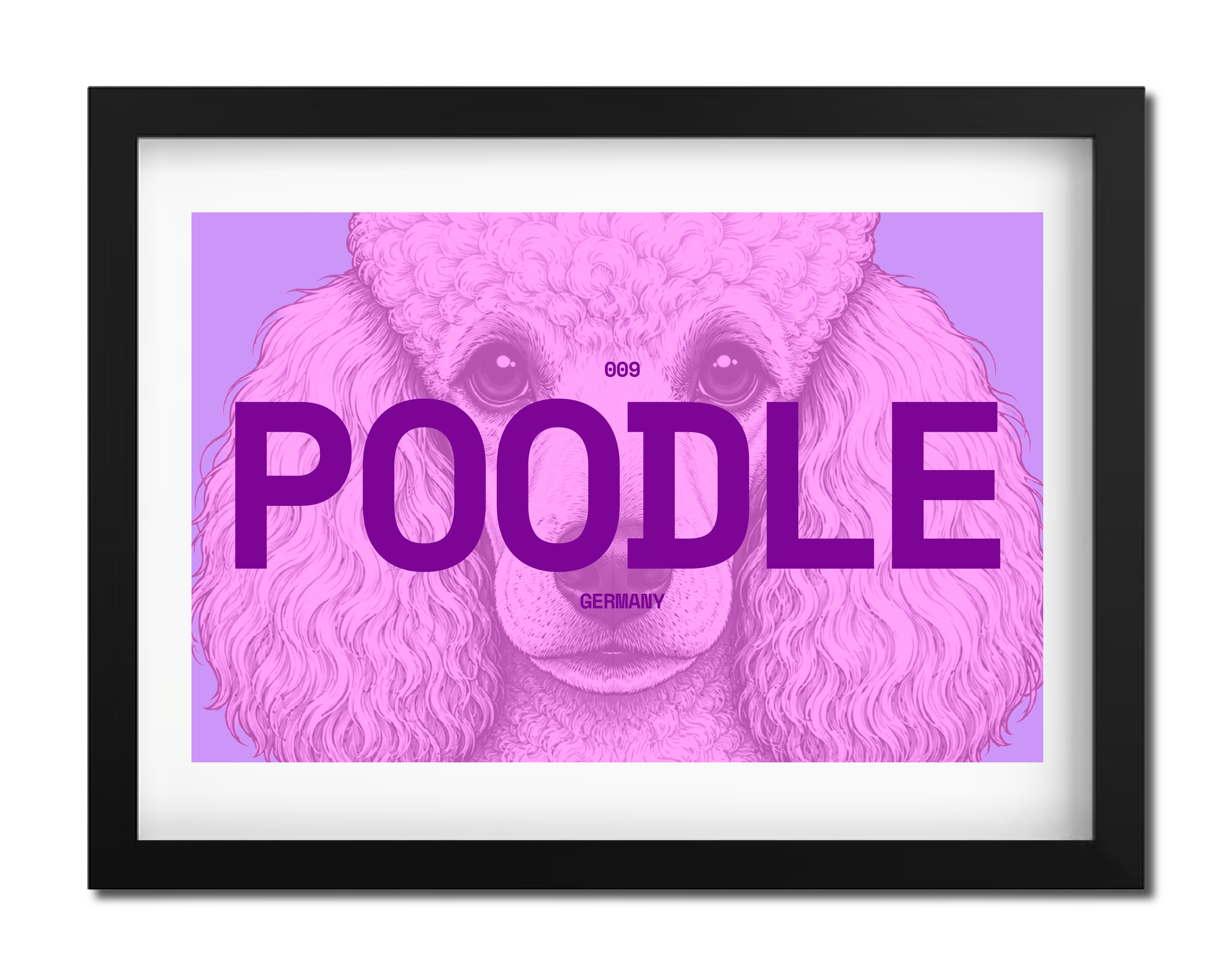 Poodle Dog poster