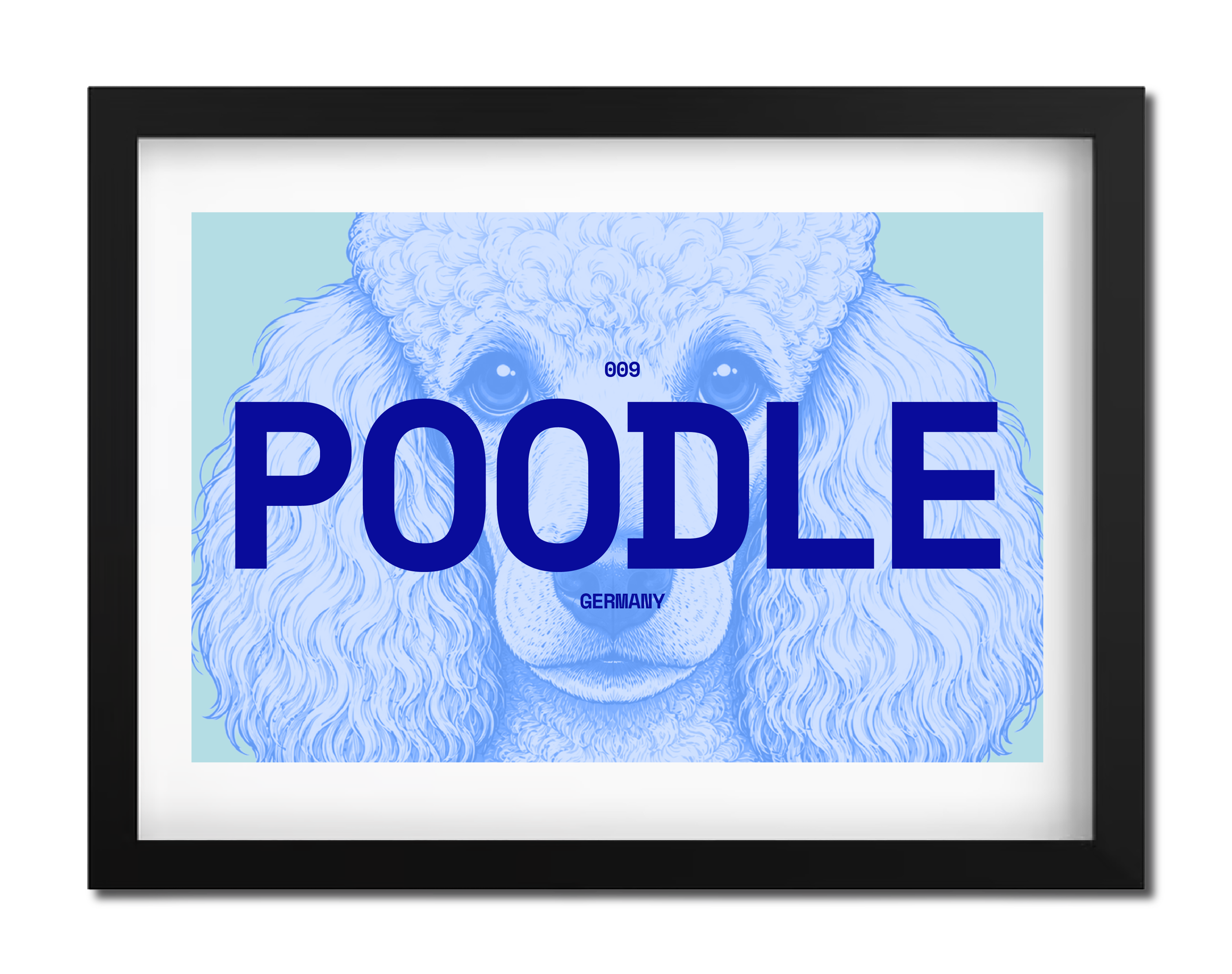 Poodle Dog poster