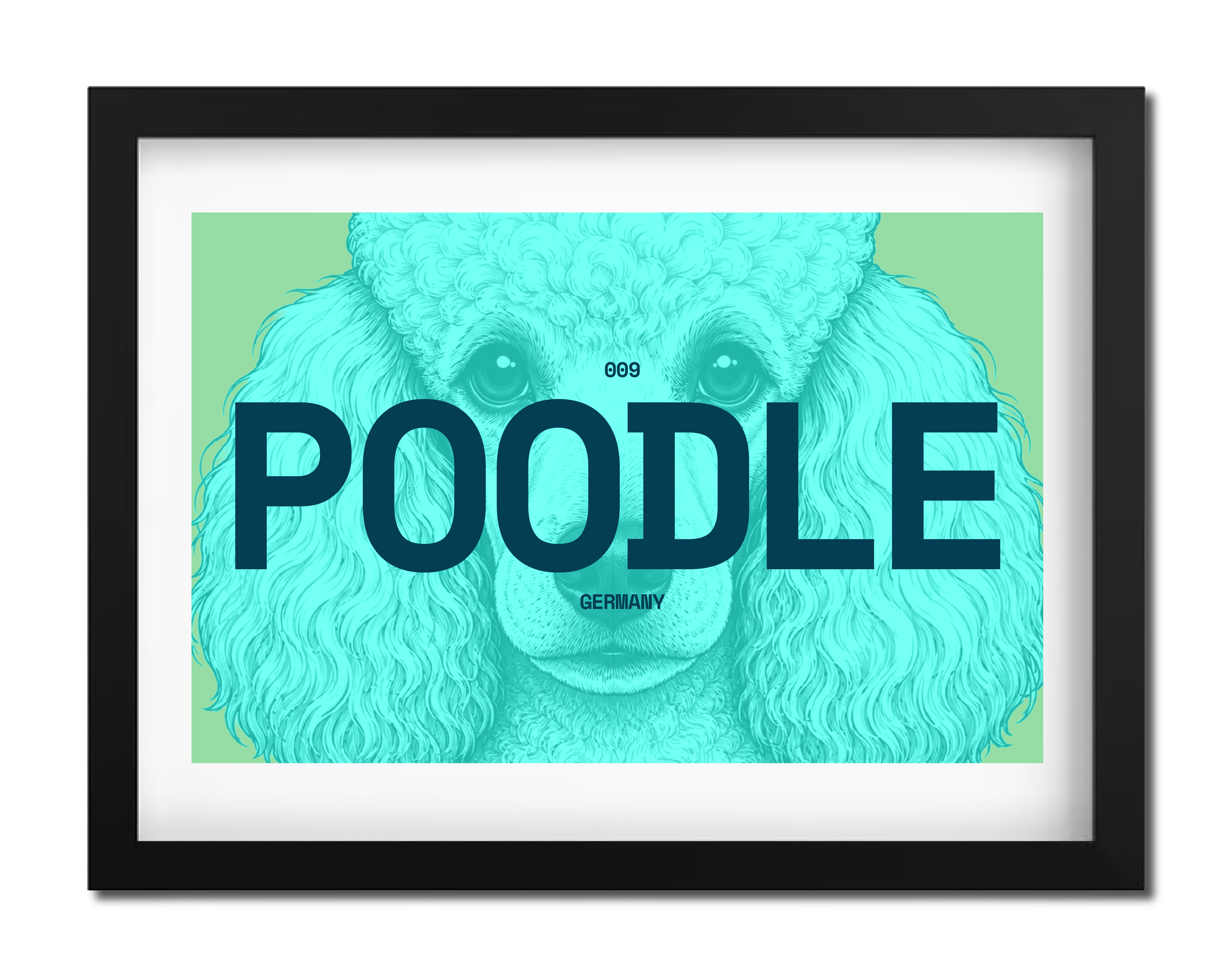 Poodle Dog poster