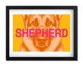 Shepherd Dog Poster
