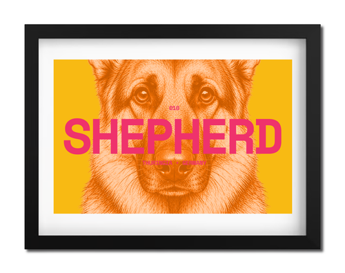 Shepherd Dog Poster